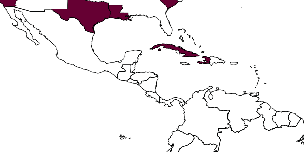 map of Baeus latrodecti     Dozier, 1931